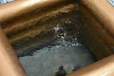 大山阿夫利神社のその他建物