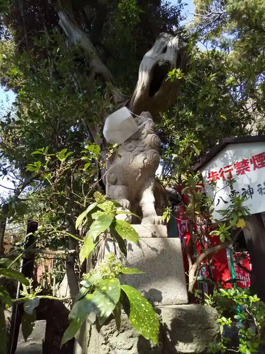 八雲神社(鎌倉・大町)の狛犬