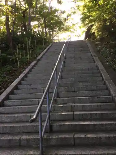 室蘭八幡宮の自然