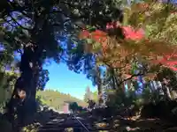 阿弥陀寺(和歌山県)