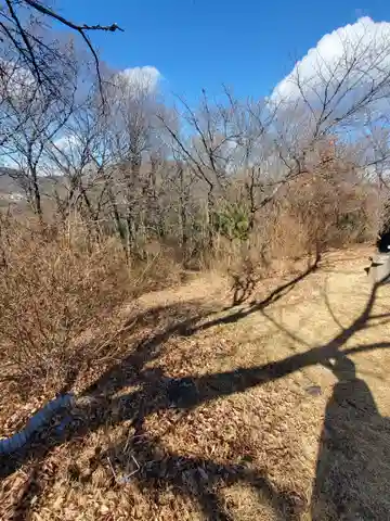 雷電神社 奥の院(助戸東山町)(栃木県)