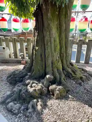 北澤八幡神社(東京都)