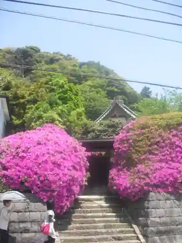 安養院　(田代寺）の景色