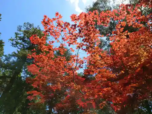天台宗 五大山 白毫寺(兵庫県)