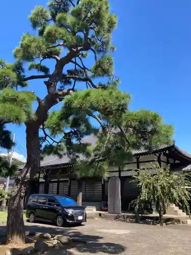 承教寺の本殿・本堂