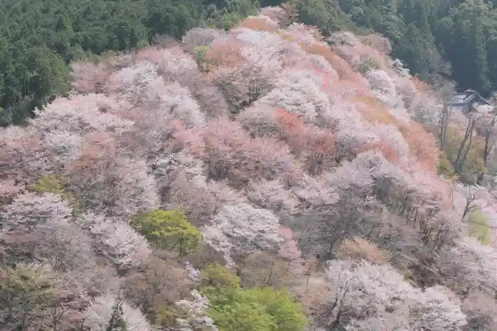 𠮷水神社(吉水神社)の景色
