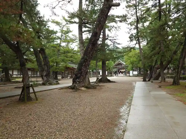 出雲大社(島根県)