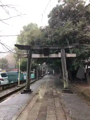 渋谷氷川神社の鳥居