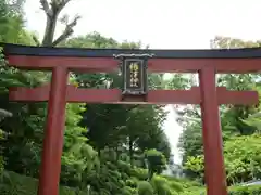 根津神社(東京都)