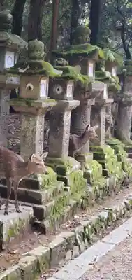 春日大社(奈良県)