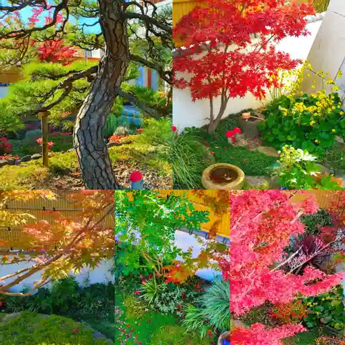 寿量山　速成寺(奈良県)