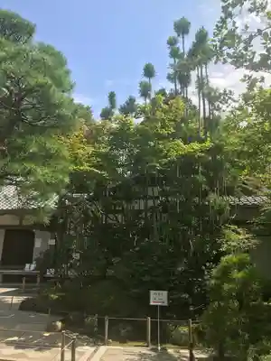 明月院(神奈川県)