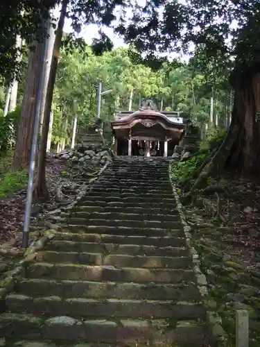 津野神社（今津町角川）(滋賀県)