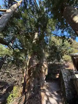 玉置神社(奈良県)