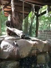 賀茂御祖神社（下鴨神社）(京都府)