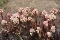 大鏑神社の庭園