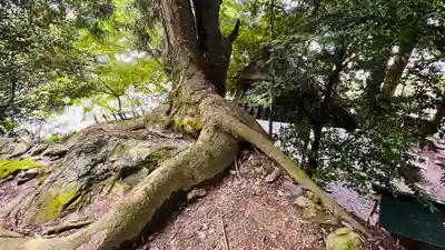 岩神神社(京都府)