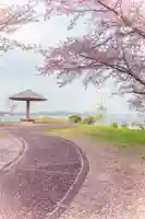 天神社(宮城県)