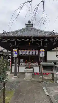 地蔵院（椿寺）(京都府)