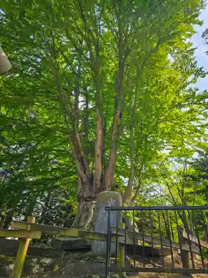 美幌神社(北海道)