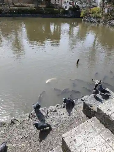 旗上弁財天社の動物