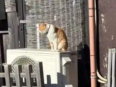 菊田神社(千葉県)