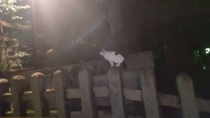 伏見稲荷大社(京都府)