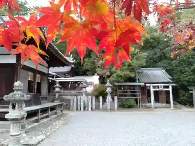 新屋坐天照御魂神社のその他建物