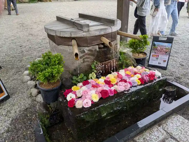 深大寺(東京都)