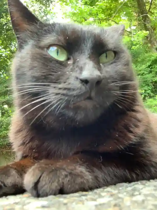 唐澤山神社(栃木県)