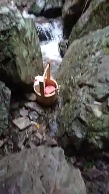 天光寺(東京都)