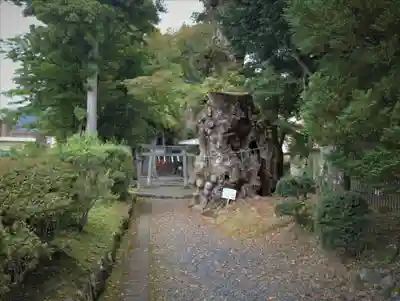 花石神社の自然