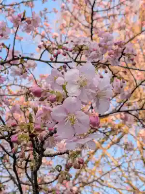 蓮華寺(東京都)