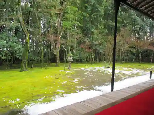 高桐院(京都府)