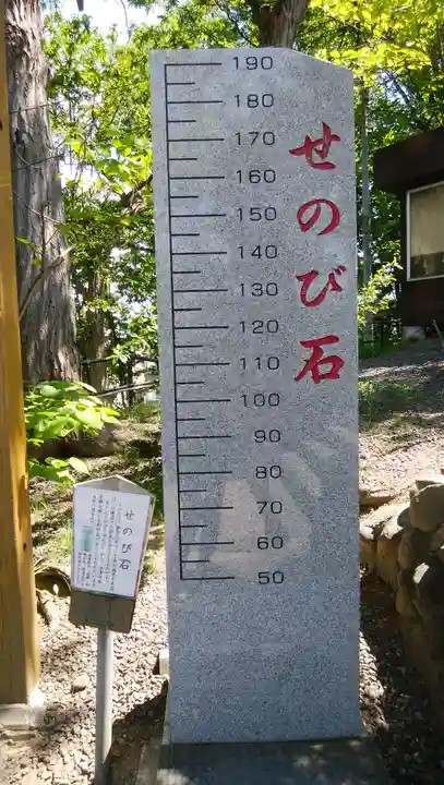 手稲神社の体験その他