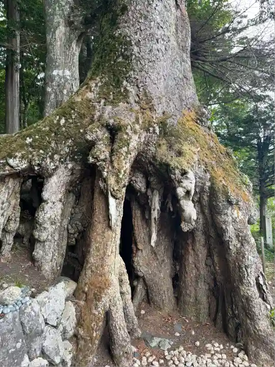 富士山東口本宮 冨士浅間神社(静岡県)