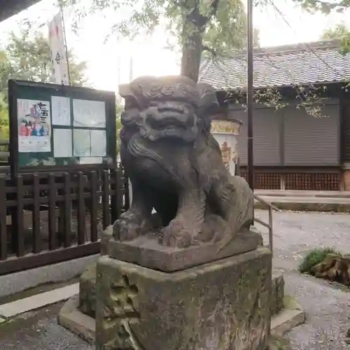 白髭神社の狛犬