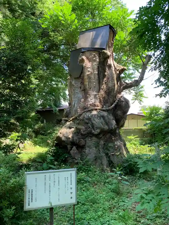 白鳥神社(宮城県)