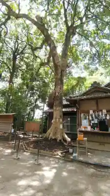 氷川女體神社(埼玉県)