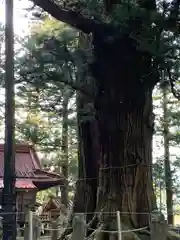 塩原八幡宮の自然