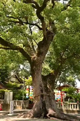 大御和神社(徳島県)