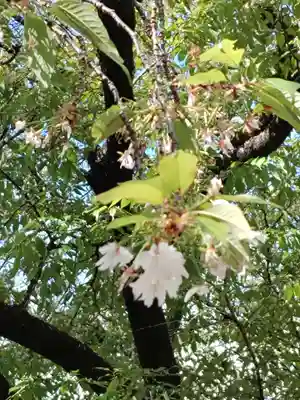 願成寺(岐阜県)