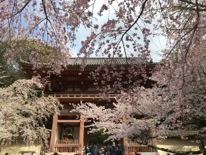 醍醐寺の山門・神門