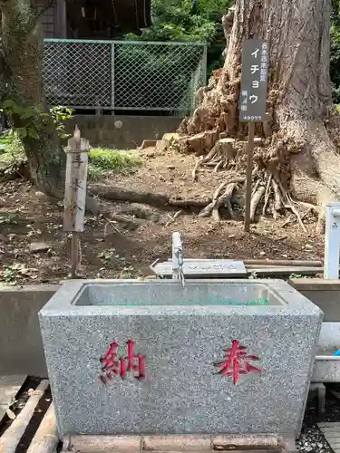杉山神社(神奈川県)