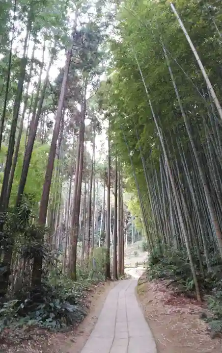 武雄神社の自然