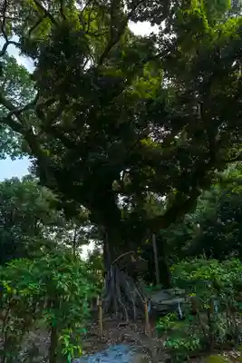 新日吉神宮(京都府)