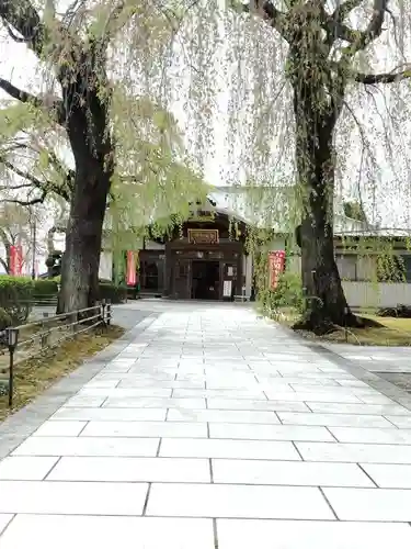 身照寺の本殿・本堂