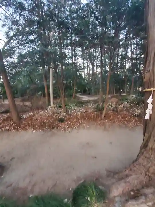 八幡神社の周辺