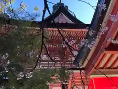 津島神社の建物その他