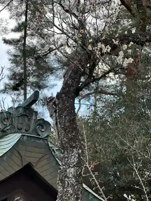 群馬県護国神社(群馬県)